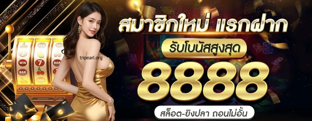 lyn 98 ทางเข้า